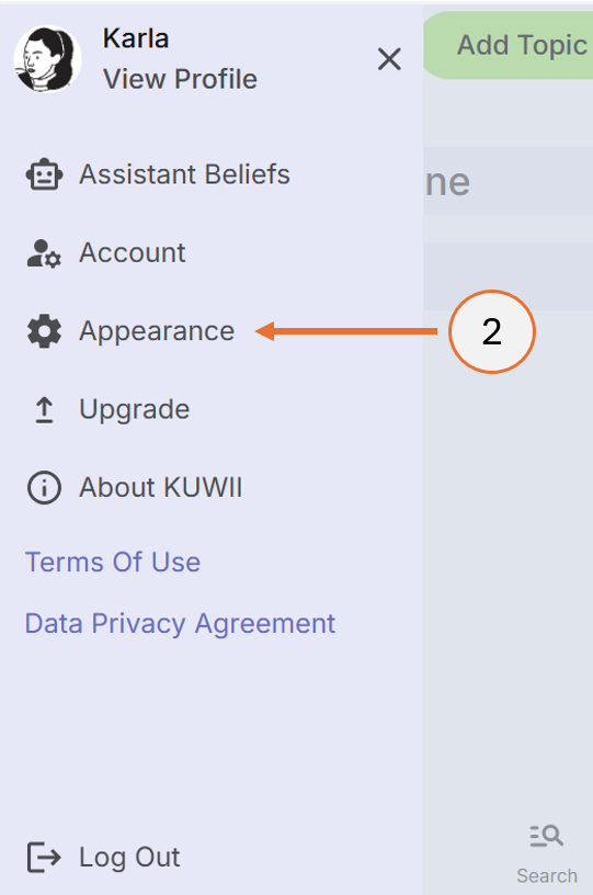 screenshot showing how to select Appearance from the menu