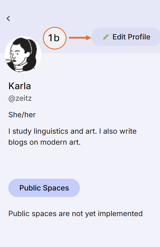 screenshot showing how to click on Edit profile