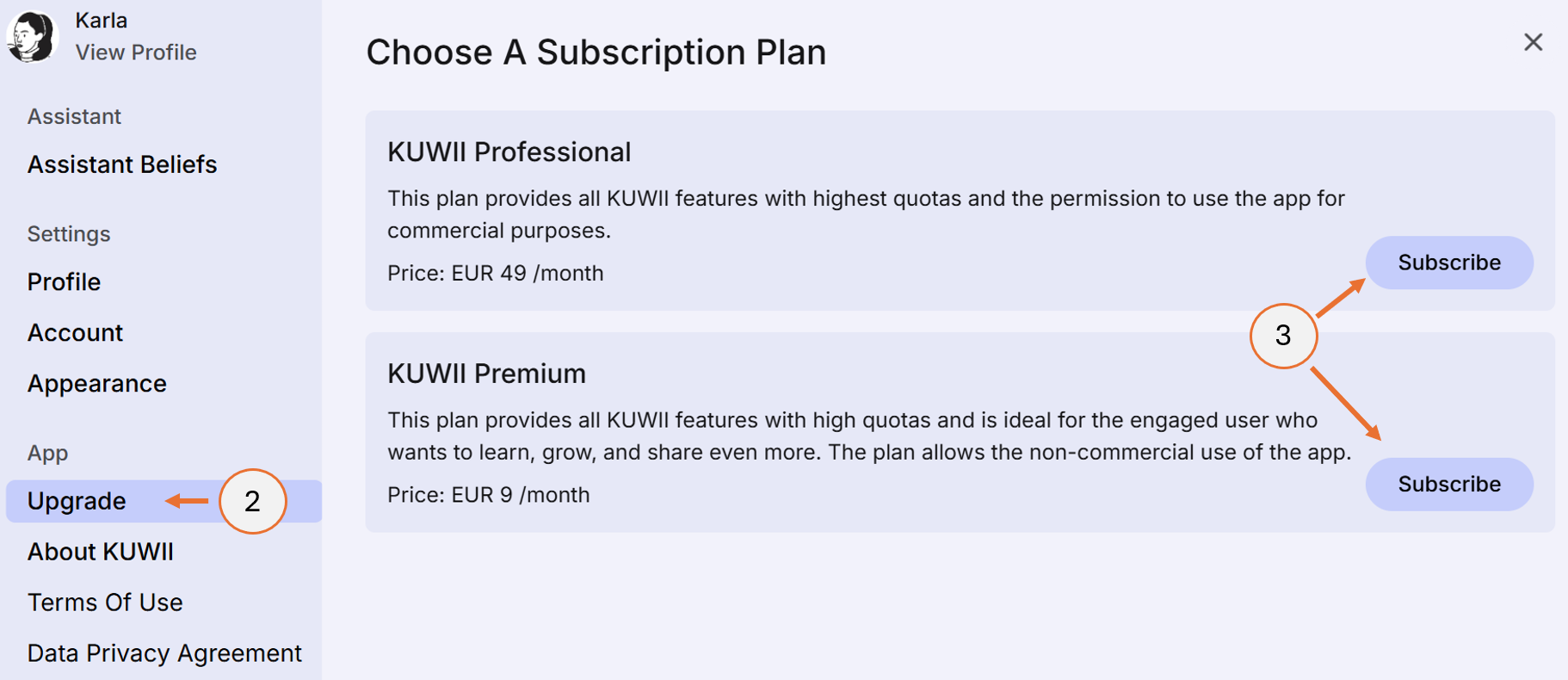 screenshot showing steps 2 and 3 for the purchase of a plan.