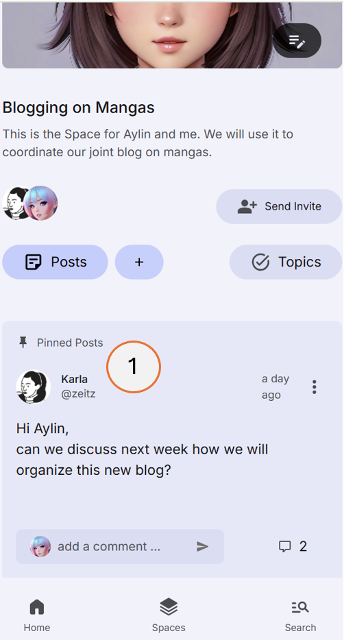 screenshot showing a post pinned to the top of the post list