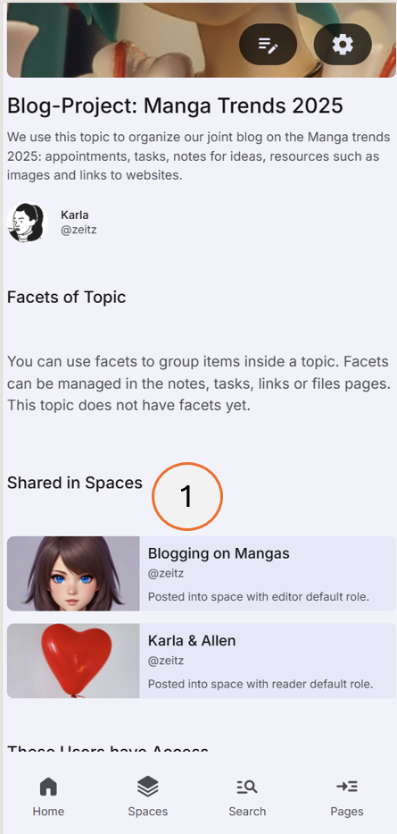 screenshot showing the Shared in Spaces section